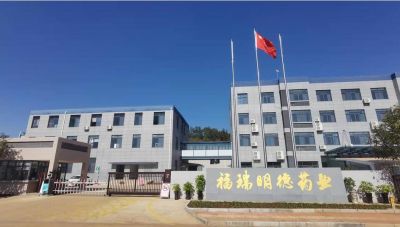 企業掠影