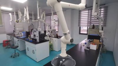 研發、質量部門